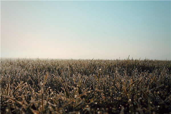 土壤養(yǎng)分檢測(cè)儀器