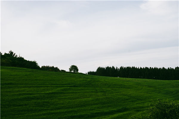 測土配方施肥儀 測土配方施肥儀